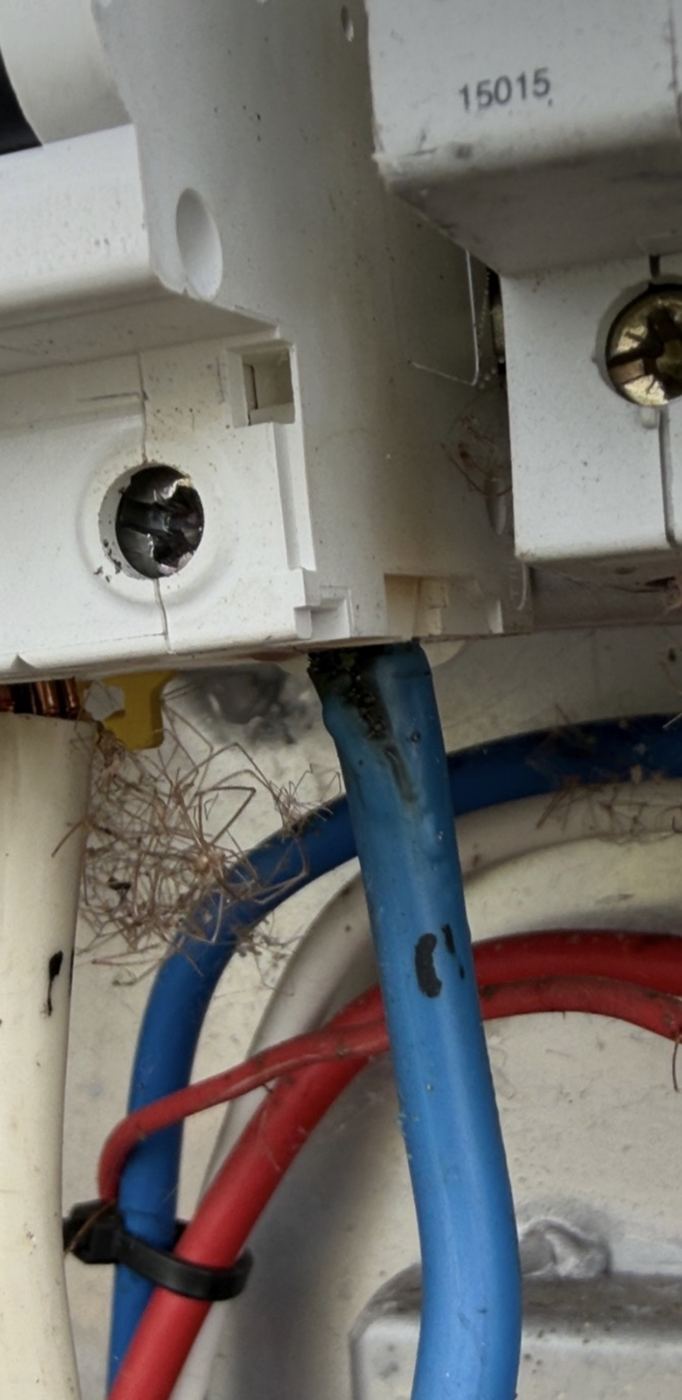 Blackened cable insulation at a switchboard terminal from an overheating connection